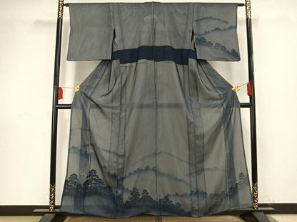 平和屋着物▽訪問着 無双 紗袷 紗×絽 風景舞鳥文 正絹 逸品 AAAV8400fy