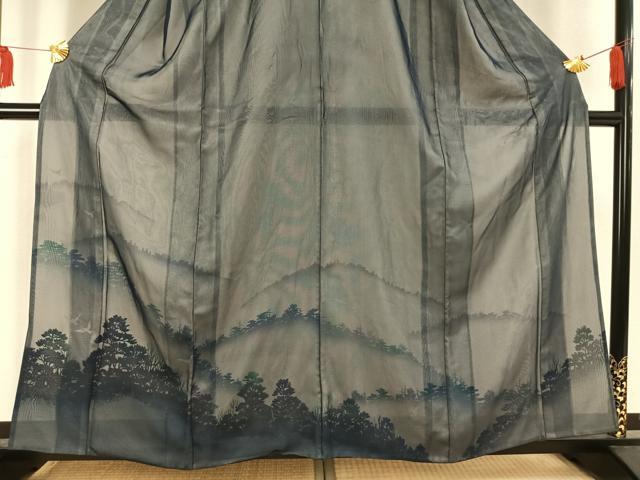 平和屋着物▽訪問着 無双 紗袷 紗×絽 風景舞鳥文 正絹 逸品 AAAV8400fy