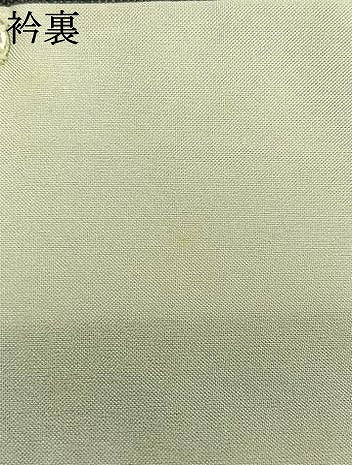 平和屋着物▽上質な紬 単衣 横段草花文 正絹 逸品 AAAV8420fy