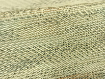 平和屋着物▽上質な紬　単衣　霞文　正絹　逸品　AAAV8433fy