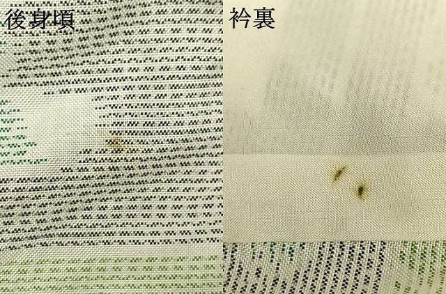 平和屋着物▽本場大島紬　単衣　白大島　風景文　正絹　逸品　AAAV8443fy