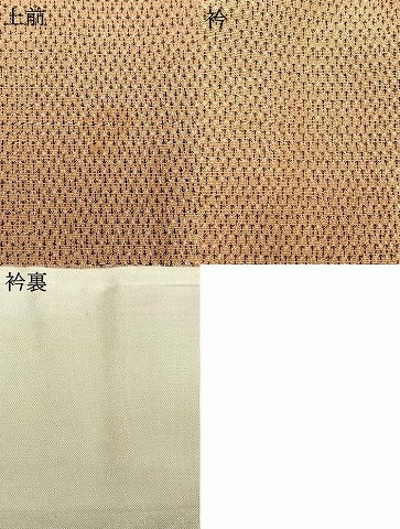 平和屋着物▽本塩沢 単衣 蚊絣 正絹 逸品 AAAV8477fy