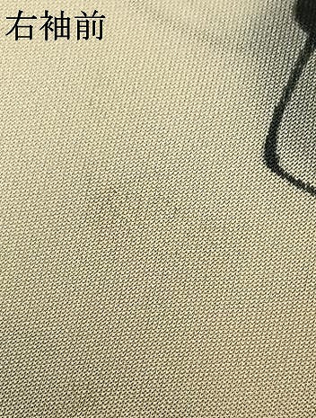 平和屋着物▽上質な小紋　単衣　手描き　草花文　暈し染め　正絹　逸品　AAAV8511fy