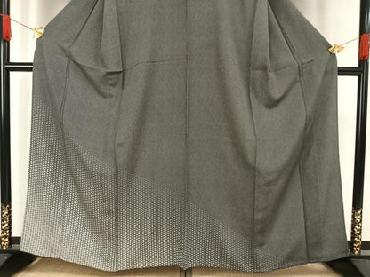 平和屋着物▽訪問着　単衣　江戸小紋　舞花文　角通し　黒地　正絹　逸品　AAAV8518fy