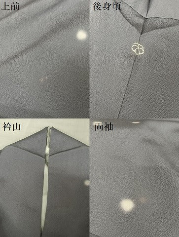 平和屋着物●訪問着　蛍暈し　正絹　逸品　AAAV9046np