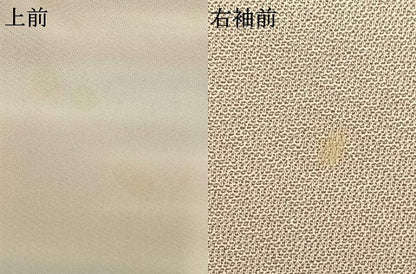 平和屋着物▽訪問着 単衣 刺繍 草花文 暈し染め 金糸 金彩 正絹 逸品 AAAW1246fy