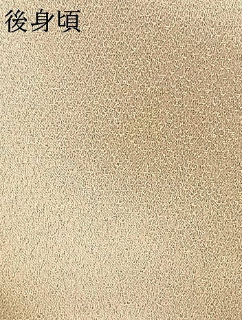 平和屋着物▽訪問着　単衣　刺繍　草花文　金彩　正絹　逸品　AAAW1262fy