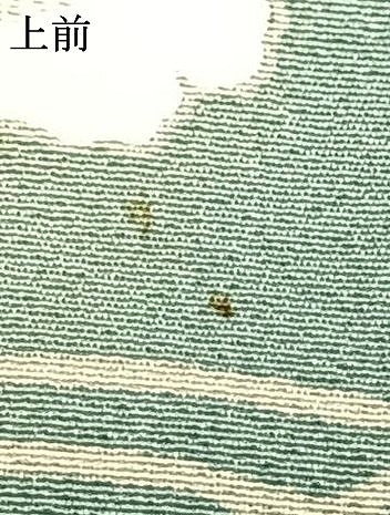 平和屋着物▽訪問着 単衣 駒刺繍 草花文 暈し染め 金彩 やまと誂製 正絹 逸品 AAAW1270fy