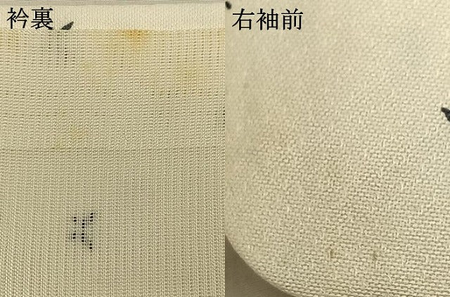 平和屋着物▽訪問着 単衣 舞蝶文 正絹 逸品 AAAW1293fy