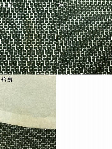 平和屋着物▽上質な紬 単衣 100亀甲 正絹 逸品 AAAW1301fy