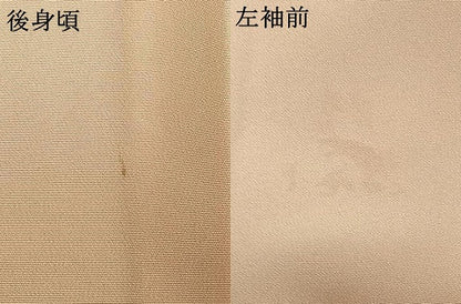 平和屋着物▽訪問着 単衣 友禅 草花文 金銀彩 正絹 逸品 AAAW1354fy