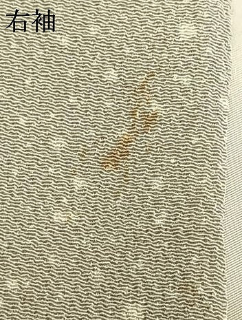 平和屋着物▽上質な小紋 単衣 箔散らし文 鬼しぼ縮緬 正絹 逸品 AAAW1387fy