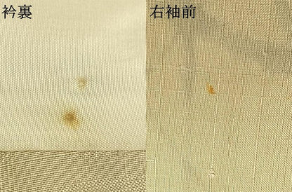 平和屋着物▽訪問着 単衣 生紬 手描き 草花文 正絹 逸品 AAAW1441fy