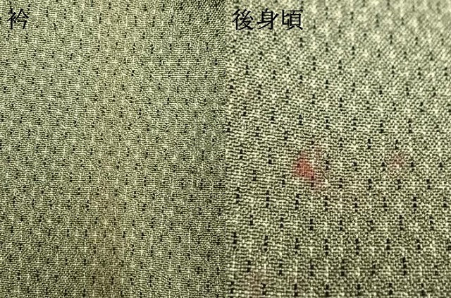 平和屋着物▽お召 単衣 蚊絣 正絹 逸品 AAAW1513fy