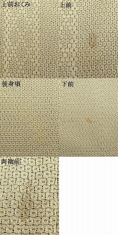 平和屋着物▽本塩沢　単衣　110亀甲　草花間道　正絹　逸品　AAAW1519fy