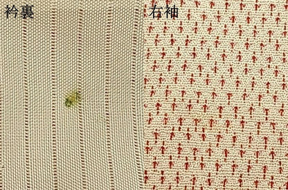 平和屋着物▽本塩沢 単衣 蚊絣 正絹 逸品 AAAW1566fy