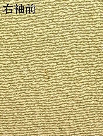 平和屋着物▽訪問着 単衣 総刺繍 草花文 金糸 正絹 逸品 AAAW1593fy