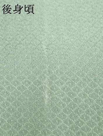 平和屋着物▽訪問着　単衣　中国三大刺繍　汕頭刺繍　スワトウ刺繍　地紙花文　金彩　正絹　逸品　AAAW1707fy