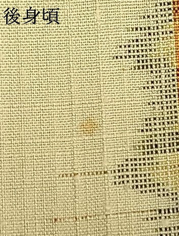 平和屋着物▽上質な紬　単衣　亀甲文様　正絹　逸品　未使用　AAAW1746fy