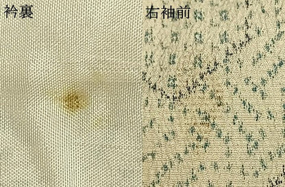 平和屋着物▽本塩沢　単衣　亀甲文様　正絹　逸品　未使用　AAAW1755fy