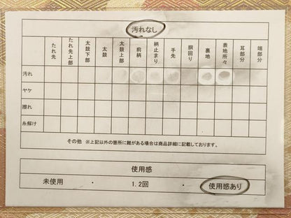 平和屋着物◎佐賀錦 六通柄袋帯 道長文 箔散らし 金糸 正絹 逸品 AAAW2712dt