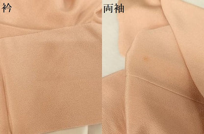 平和屋着物●訪問着　友禅　枝花文　正絹　逸品　AAAW4015np