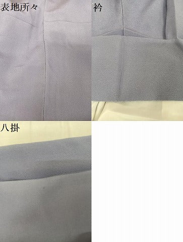 平和屋着物●訪問着 友禅 サルトリイバラ 鬼しぼ縮緬 正絹 逸品 AAAW4018np
