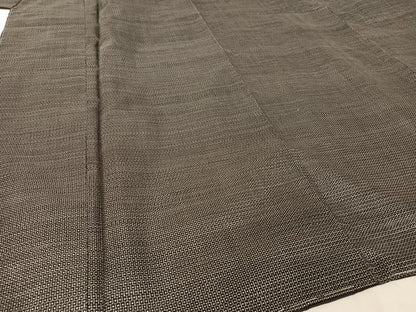 平和屋着物●男性 本場大島紬 アンサンブル 100亀甲 総詰め 正絹 逸品 未使用 AAAW4045np