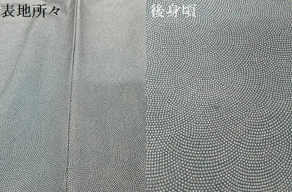 平和屋着物●江戸小紋　鮫小紋柄　正絹　逸品　AAAW4353np