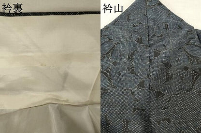 平和屋着物●本場大島紬 一元7マルキ 草花尽くし 正絹 逸品 AAAW5229br