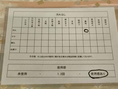 平和屋着物◎六通柄袋帯　箔散らし文様　金銀糸　正絹　逸品　AAAW5534ou