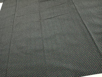 平和屋着物▽本塩沢 単衣 蚊絣 黒地 正絹 逸品 AAAW7645fy