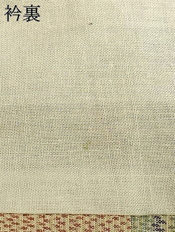 平和屋着物▽上質な紬 単衣 草花文 正絹 逸品 AAAW7655fy