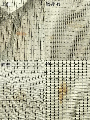 平和屋着物▽訪問着 本場染大島紬地 単衣 作家物 手描き 風景文 暈し染め 金彩 正絹 逸品 AAAW7704fy