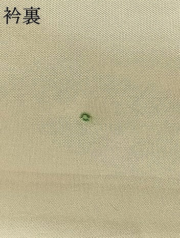 平和屋着物▽訪問着 単衣 紬地 手描き 風景文 正絹 逸品 AAAW7714fy