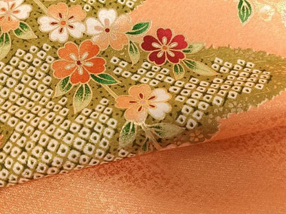 平和屋着物●anan 小振袖 二尺袖 駒刺繍 檜扇花文 金彩 洗える着物 AAAW9291zg
