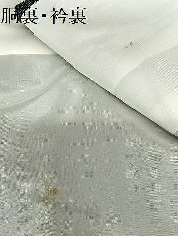 平和屋着物●上質な紬 花唐草文 正絹 逸品 AAAW9345zg