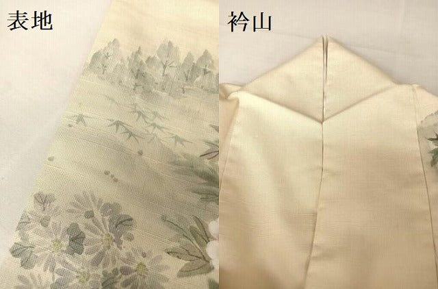 平和屋着物●訪問着 紬地 手描き 風景牡丹文 正絹 逸品 AAAX0193np