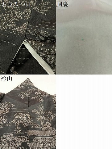 平和屋着物●本場大島紬　カタス9マルキ　風景草花文　黒地　正絹　逸品　AAAX0629zg