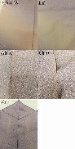 平和屋着物●江戸小紋 訪問着 吉祥文 暈し染め 正絹 逸品 AAAX0642zg