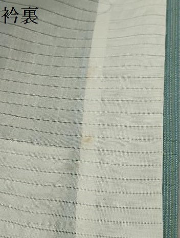 平和屋着物▽上質な紬 単衣 立涌文 正絹 逸品 AAAX1626sx