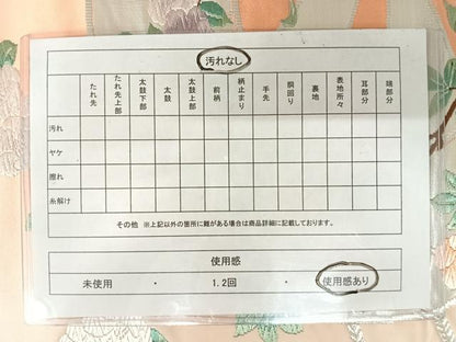 平和屋着物◎六通柄袋帯 唐織 枝花文 銀糸 正絹 逸品 AAAX3066yx