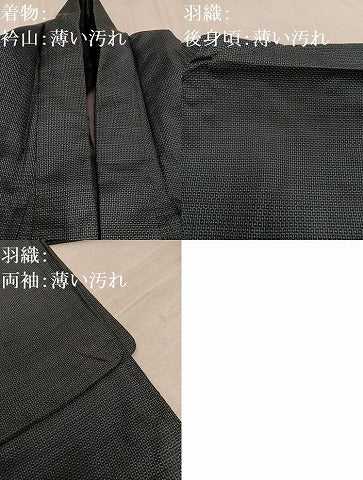 平和屋着物●男性 本場大島紬 アンサンブル 100亀甲 総詰め 正絹 逸品 AAAX4193ph