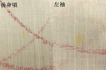 平和屋着物＊夏物　小紋　露芝文　洗える着物　AAAX5552fy