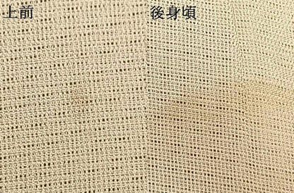 平和屋着物▽訪問着　無双　紗袷　紗×紗　手描き　カラスウリ　正絹　逸品　AAAX5654fy