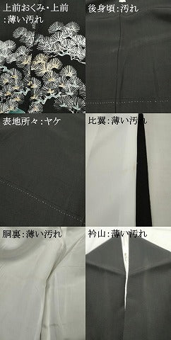 平和屋着物■豪華黒留袖 手描き 枝松文 正絹 逸品 AAAX5703cs
