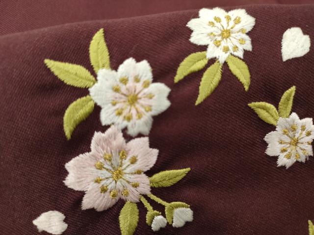 平和屋着物●女性　行灯袴　刺繍　舞花文　暈し染め　金糸　卒業式　洗える着物　AAAX5844cs