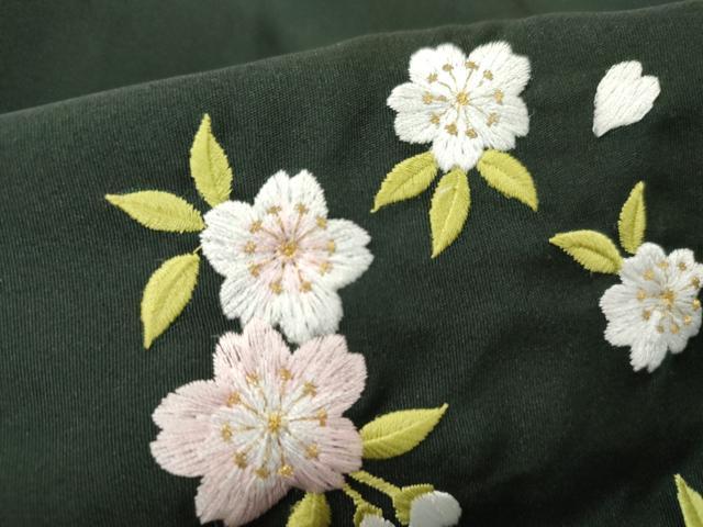 平和屋着物●女性　行灯袴　刺繍　舞花文　暈し染め　金糸　卒業式　洗える着物　AAAX5848cs