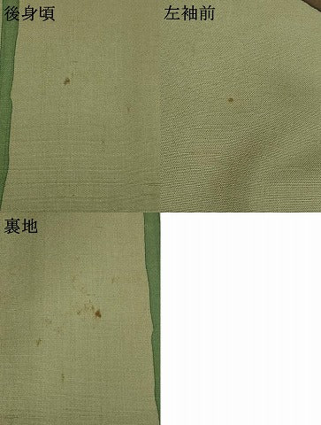 平和屋着物▽訪問着 単衣 紬地 作家物 草花文 正絹 逸品 AAAX6737st