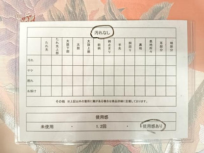 平和屋着物◎六通柄袋帯　唐織　草花文　銀糸　正絹　逸品　AAAX7492yx